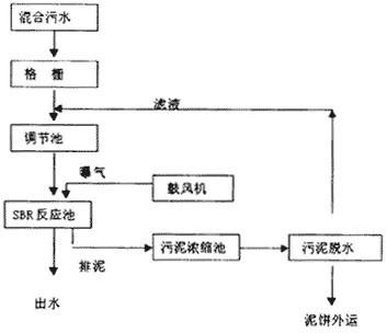 王中特王49