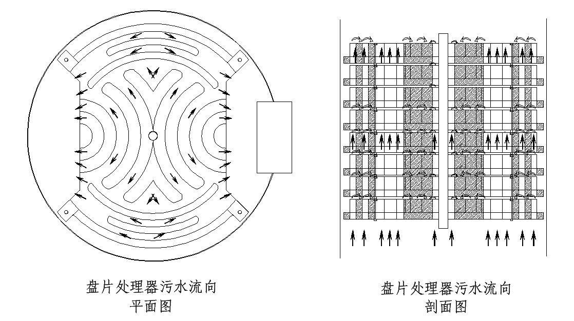 王中特王49