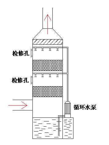 王中特王49