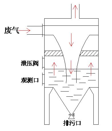 王中特王49