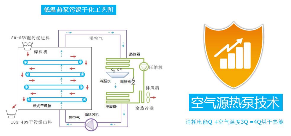 王中特王49